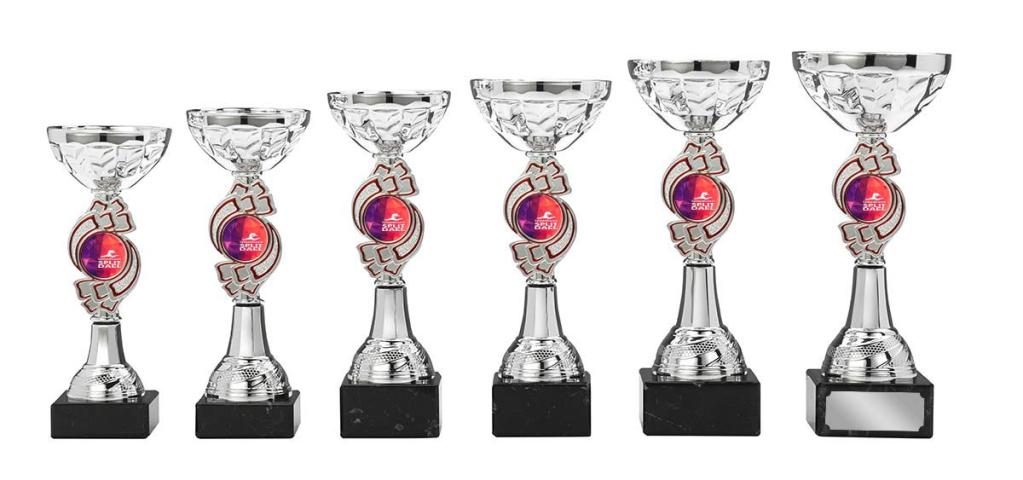 Pokal LILLE