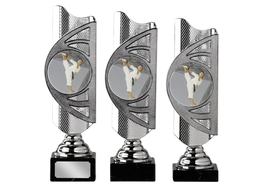 Trophy KARATE Jupiter silber