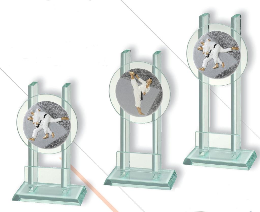 Glasaufsteller DISCUS Kampfsport