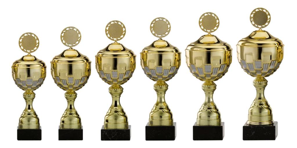 Pokal NANJING